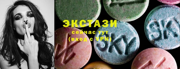 хмурый Алексин