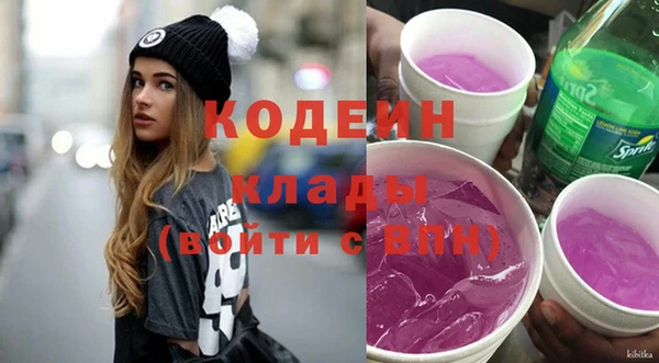 хмурый Алексин