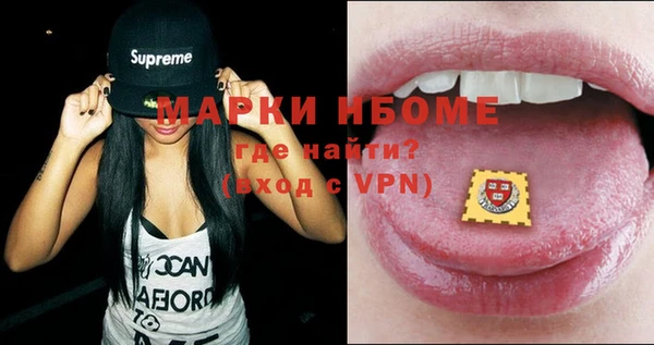 хмурый Алексин