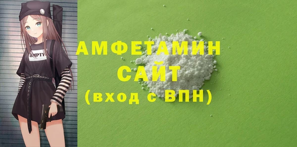 хмурый Алексин