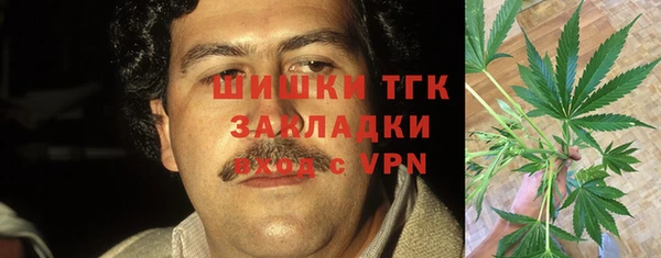 сатива Алзамай