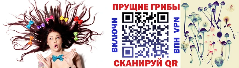 Галлюциногенные грибы MAGIC MUSHROOMS  где можно купить наркотик  Тавда 